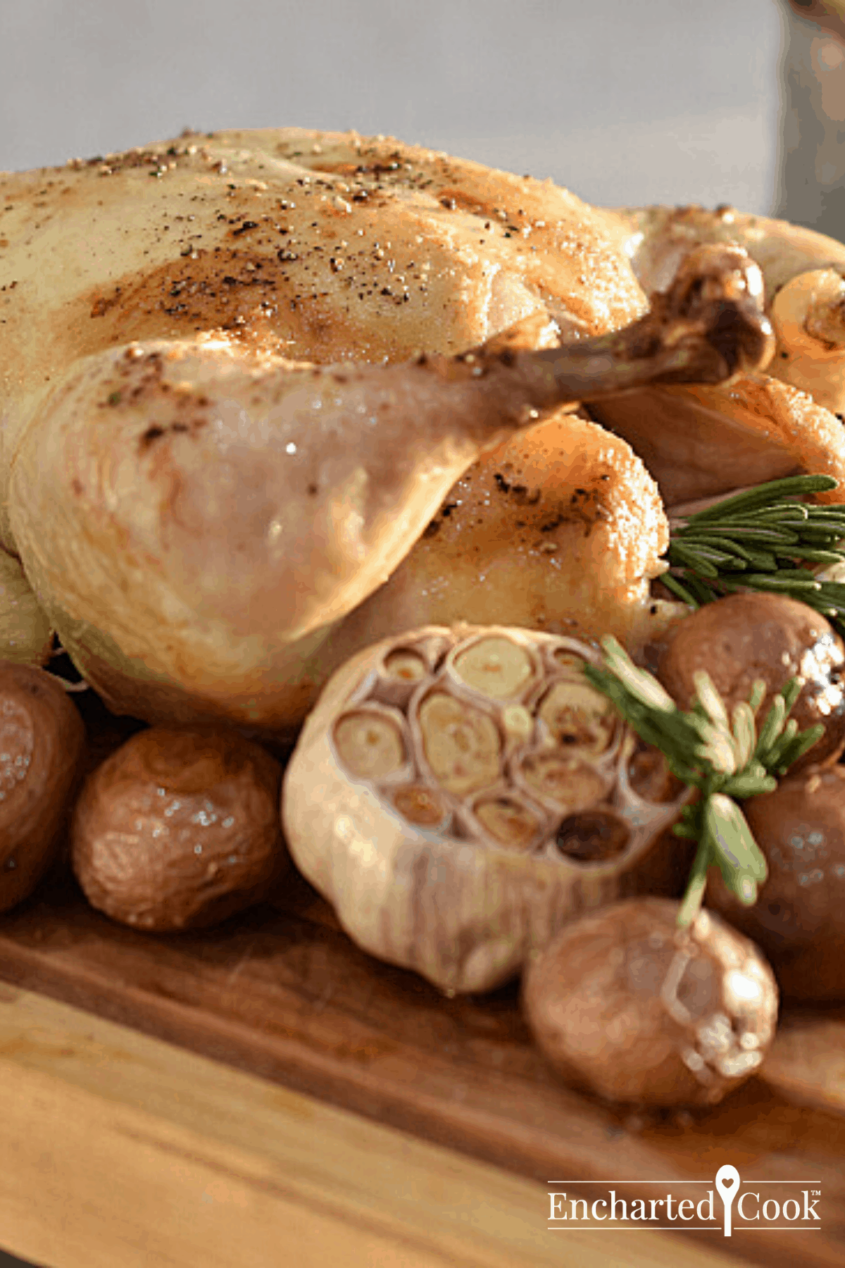 Side view of a golden roasted chicken with roasted garlic and small red potatoes..