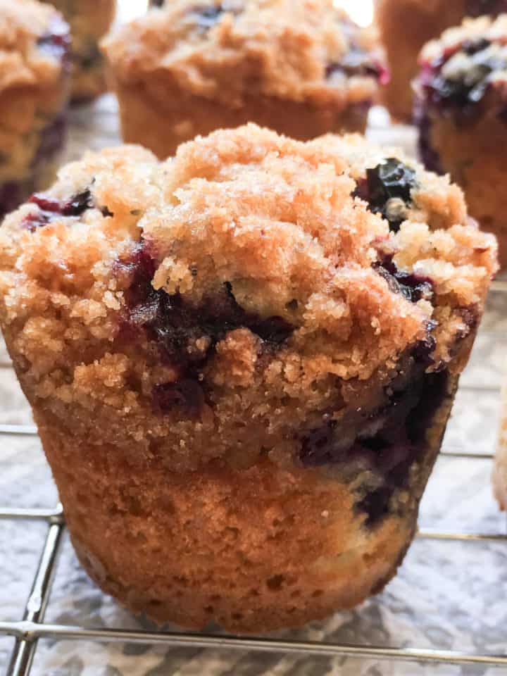 A closeup of a blueberry muffin with a simple streusel topping.