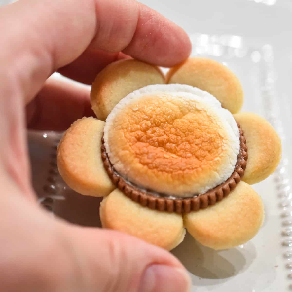 A hand holding one flower shaped cookie cup on the background of a beige plate.