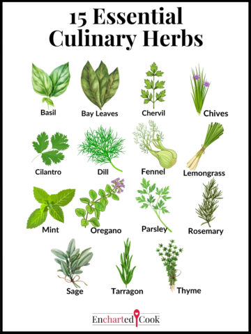 Color drawings of 15 culinary herbs with labels.