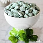 Green and white puppy chow in a white bowl decorated with floral shamrocks in the foreground.