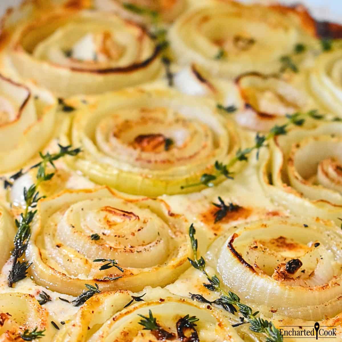Scalloped onions in a white baking dish and garnished with fresh thyme.