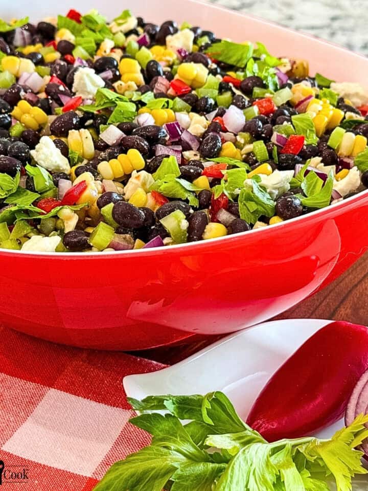 Black Bean Salad with Corn in a red and white bowl with a cut red onion, red pepper, and celery leaves on a small white plate.