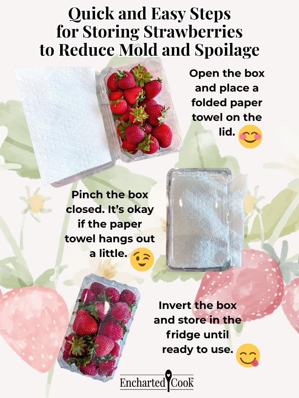 Infographic on how to store fresh strawberries to reduce spoilage.