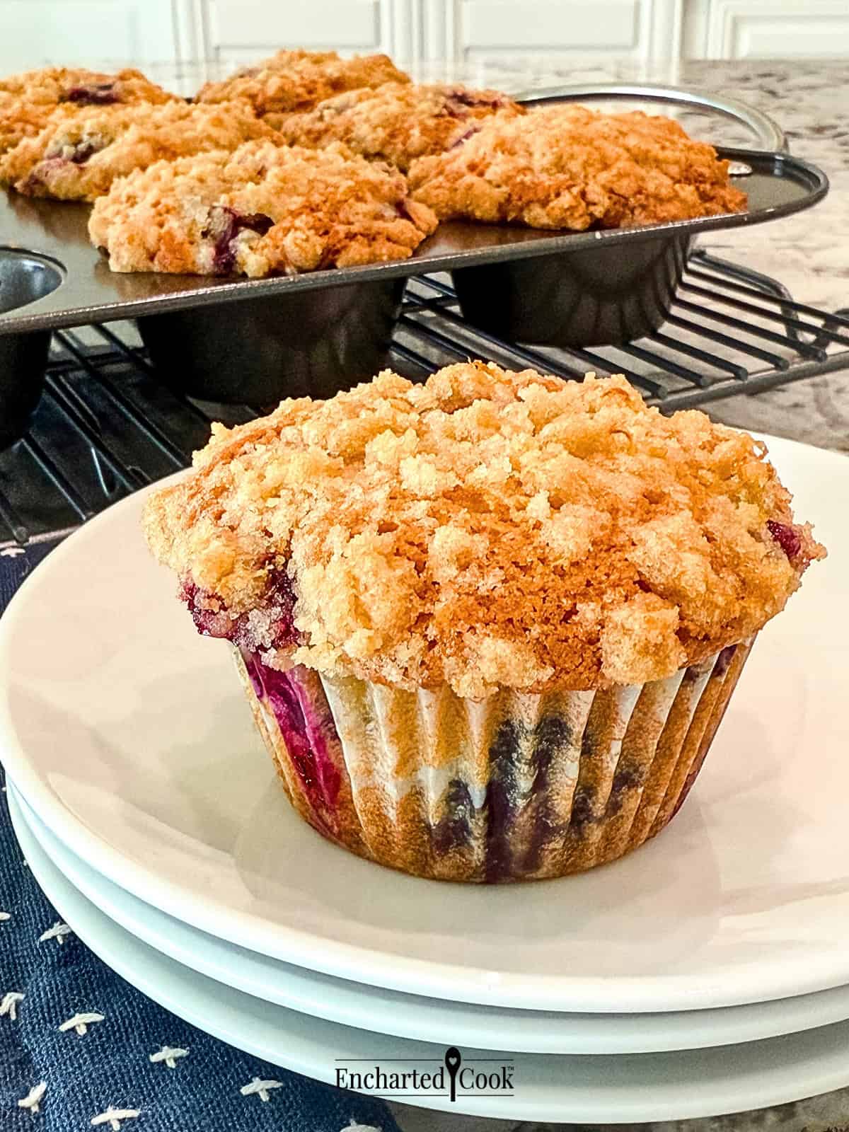 Blueberry Muffins with Streusel Crump Topping on a white plate.