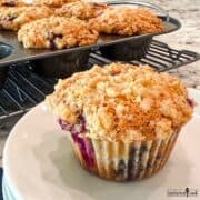 Blueberry Muffins with Streusel Crump Topping on a white dish.