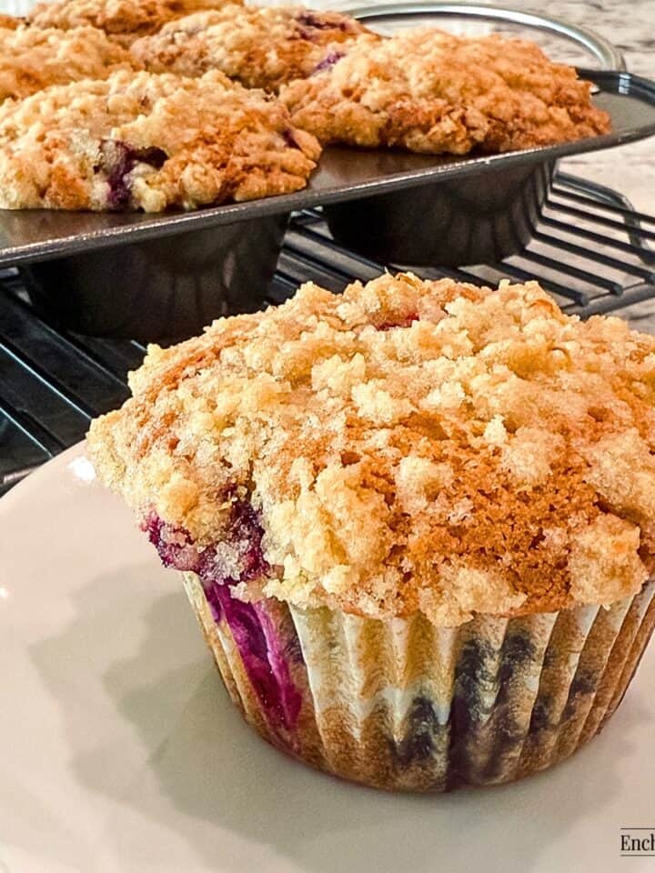 Blueberry Muffins with Streusel Crump Topping on a white dish.