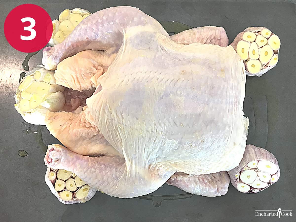 Process Photo 3 - Building the roasted chicken dinner, starting with the chicken in the center of the pan surrounded by bulbs of garlic.