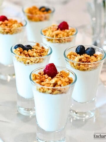 Greek Yogurt Shooters on a light gray tray.